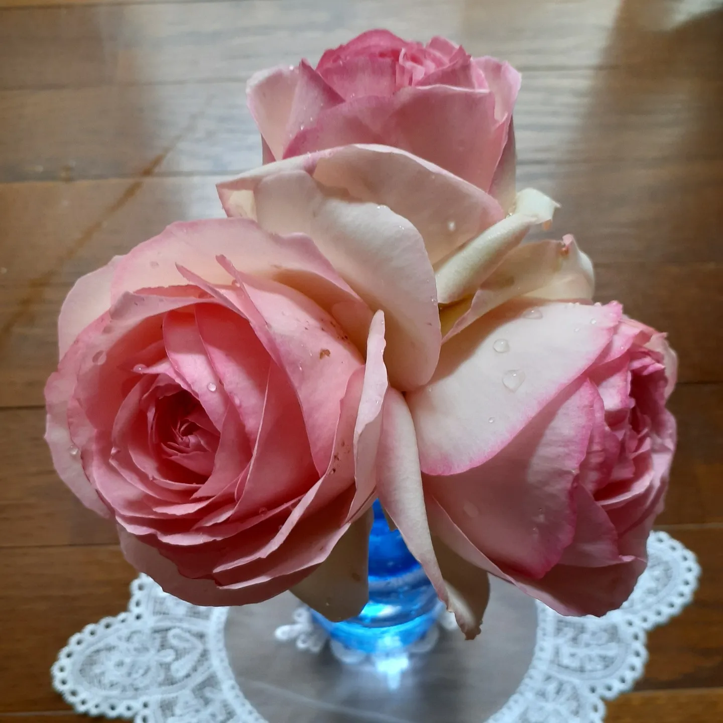 音楽のある人生は、まるで心に響くメロディーそのものですね🎶。